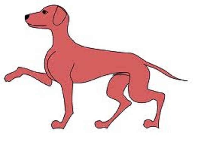 Article : Dogbashing