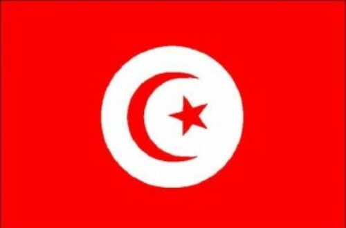 Article : À toi Tunisie