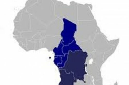 Article : Afrique centrale: dernier rempart contre la poussée des mouvements démocratique
