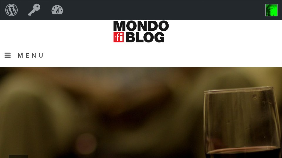 Article : Un mondoblogueur, un article (Première partie)